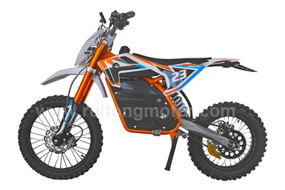 ATV 1000W Electric Motorcycle Apollo