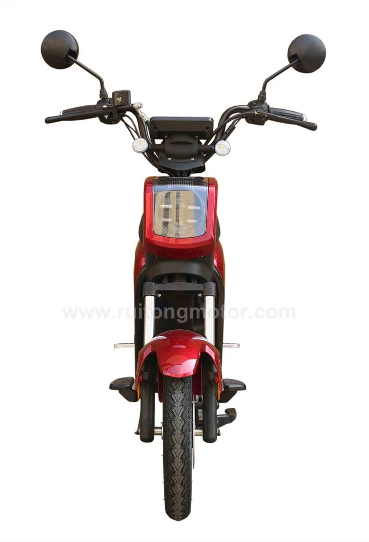 Delivery Electric Scooter